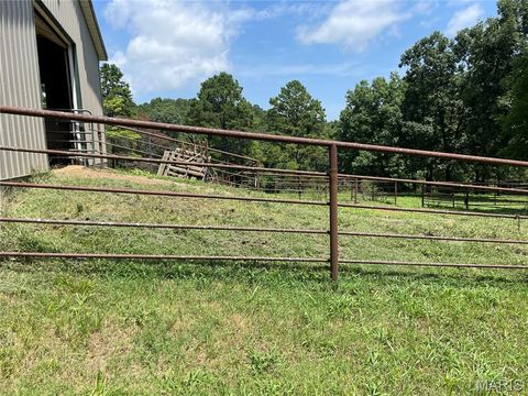 Tiny photo for 4654 Highway Yy, Salem, MO 65560 (MLS # 26046730)