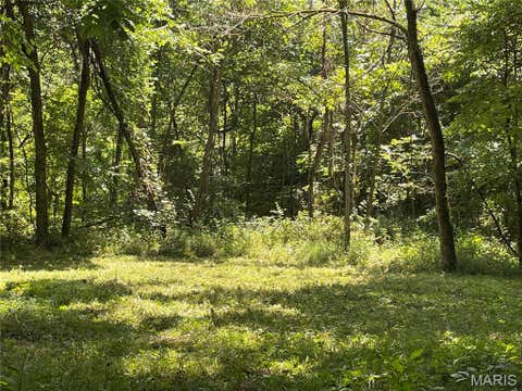 Tiny photo for 4654 Highway Yy, Salem, MO 65560 (MLS # 26046730)