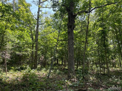 Tiny photo for 4654 Highway Yy, Salem, MO 65560 (MLS # 26046730)