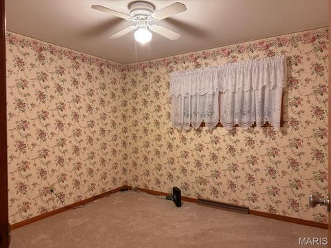 Tiny photo for 2800 S Carolina Street, Louisiana, MO 63353 (MLS # 26029422)