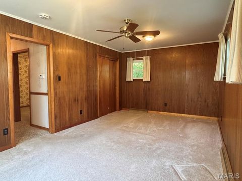 Tiny photo for 2800 S Carolina Street, Louisiana, MO 63353 (MLS # 26029422)