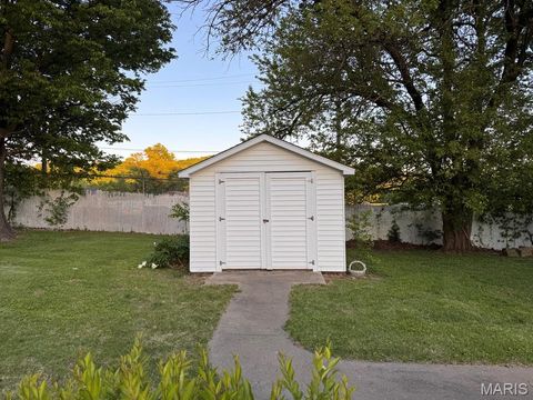 Tiny photo for 2800 S Carolina Street, Louisiana, MO 63353 (MLS # 26029422)