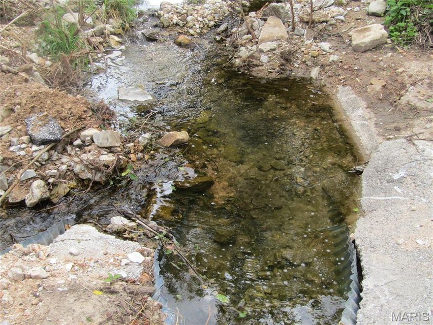 Nice 1.57 acre property on state Highway 14.  There is a cellar, a utility pole already in place and a possible well.  There is also a year around creek running at the front of the property and a spring.  Small pasture, some woods and road access.  This is a great lot to build or for a recreational property being very close to Beaver Creek, Mark Twain National Forest and only 7 miles from Ava, Missouri.  Ava is known for the Missouri Fox Trotter Horse Breed Association World Show Grounds. Very nice property that is priced to sell.