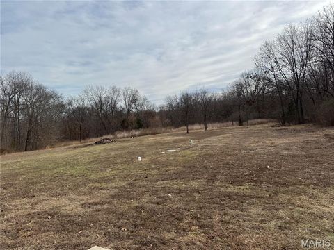 Tiny photo for 116 Bailey Rose Court, Troy, MO 63379 (MLS # 26002790)