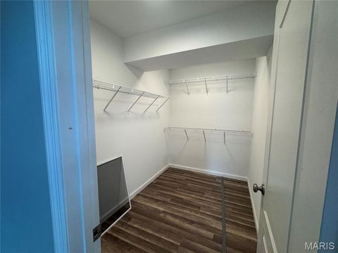 Tiny photo for 116 Bailey Rose Court, Troy, MO 63379 (MLS # 26002790)