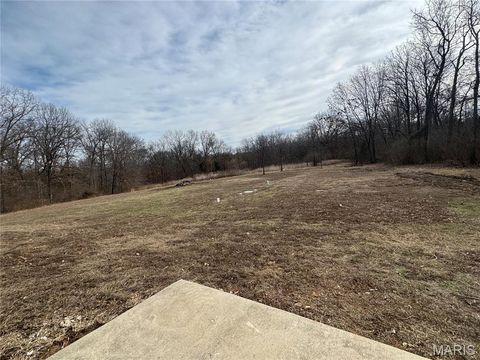 Tiny photo for 116 Bailey Rose Court, Troy, MO 63379 (MLS # 26002790)