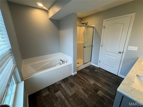 Tiny photo for 116 Bailey Rose Court, Troy, MO 63379 (MLS # 26002790)