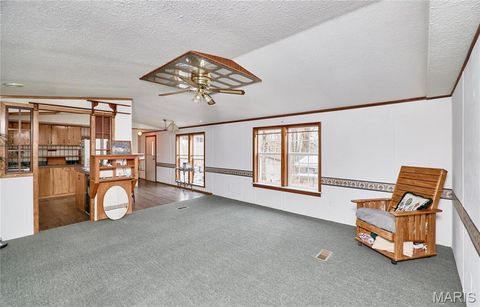 Tiny photo for 748 Walker Road, Troy, MO 63379 (MLS # 26011041)