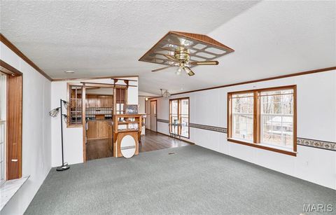 Tiny photo for 748 Walker Road, Troy, MO 63379 (MLS # 26011041)