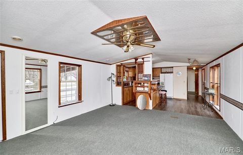 Tiny photo for 748 Walker Road, Troy, MO 63379 (MLS # 26011041)