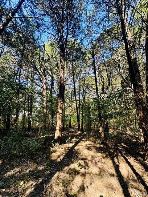 Tiny photo for 383 Big Cedar Drive, Foristell, MO 63348 (MLS # 26067039)