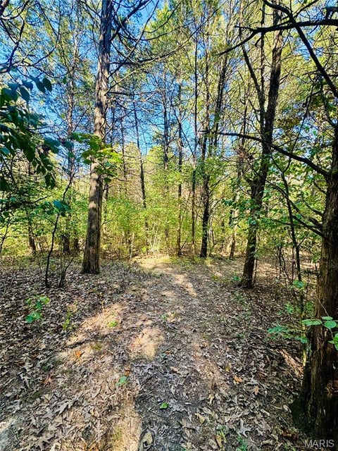 Tiny photo for 383 Big Cedar Drive, Foristell, MO 63348 (MLS # 26067039)