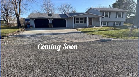 Photo of 1014 E Mill Street, Staunton, IL 62088 (MLS # 26016895)