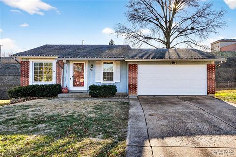 95 Elk Run Drive Eureka MO 63025