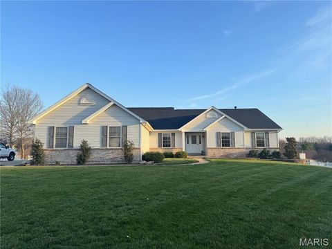 Photo of 1412 Highland Park Court, Wentzville, MO 63385 (MLS # 26016179)