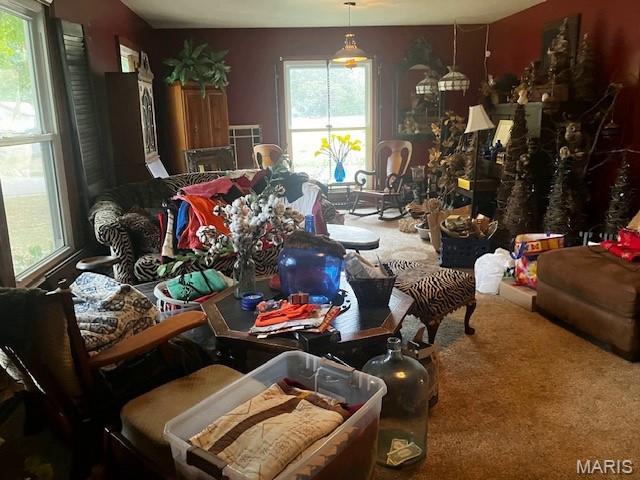 Bray 2nd - Residential