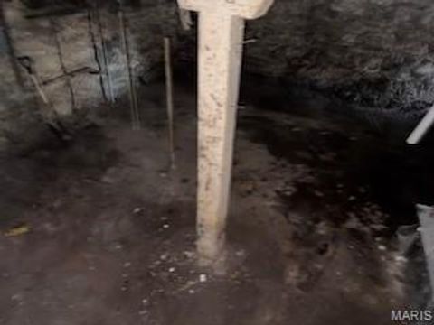 Tiny photo for 2906 Park Avenue, St Louis, MO 63104 (MLS # 26022302)