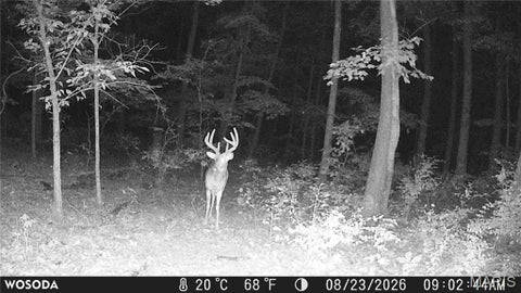 Tiny photo for 0 Russell Rd. (Tract 4 - 15+/- Acres), Troy, MO 63379 (MLS # 26058627)
