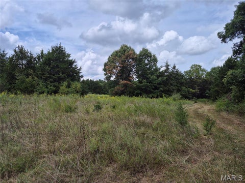 Tiny photo for 0 Russell Rd. (Tract 4 - 15+/- Acres), Troy, MO 63379 (MLS # 26058627)