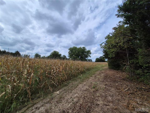 Tiny photo for 0 Russell Rd. (Tract 4 - 15+/- Acres), Troy, MO 63379 (MLS # 26058627)