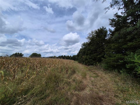 Tiny photo for 0 Russell Rd. (Tract 4 - 15+/- Acres), Troy, MO 63379 (MLS # 26058627)