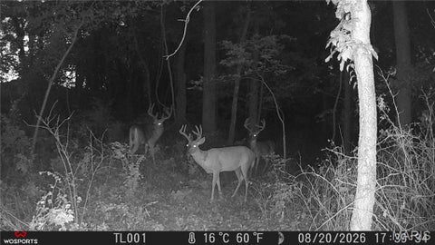 Tiny photo for 0 Russell Rd. (Tract 4 - 15+/- Acres), Troy, MO 63379 (MLS # 26058627)