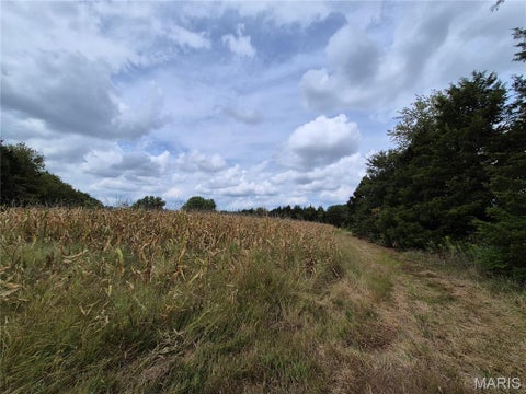 Tiny photo for 0 Russell Rd. (Tract 4 - 15+/- Acres), Troy, MO 63379 (MLS # 26058627)