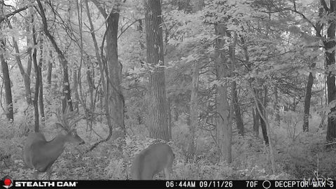 Tiny photo for 0 Russell Rd. (Tract 4 - 15+/- Acres), Troy, MO 63379 (MLS # 26058627)