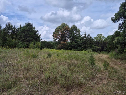 Tiny photo for 0 Russell Rd. (Tract 4 - 15+/- Acres), Troy, MO 63379 (MLS # 26058627)