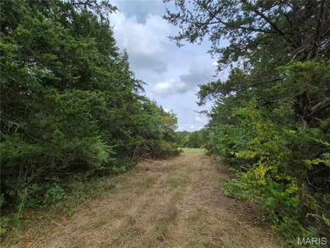 Tiny photo for 0 Russell Rd. (Tract 4 - 15+/- Acres), Troy, MO 63379 (MLS # 26058627)