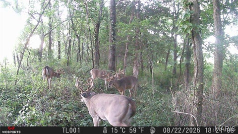 Tiny photo for 0 Russell Rd. (Tract 4 - 15+/- Acres), Troy, MO 63379 (MLS # 26058627)