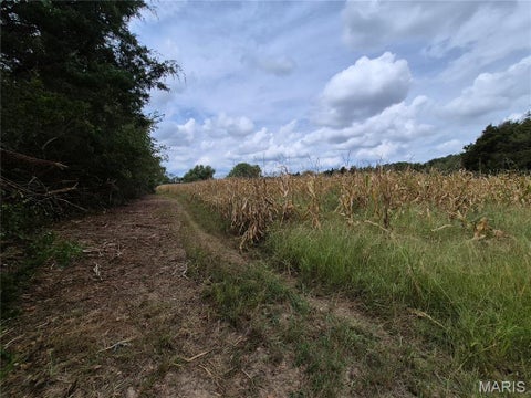 Tiny photo for 0 Russell Rd. (Tract 4 - 15+/- Acres), Troy, MO 63379 (MLS # 26058627)