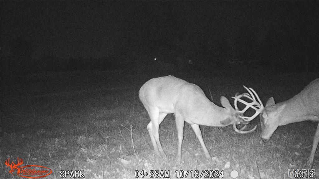 Lake Forest Farms - Farm