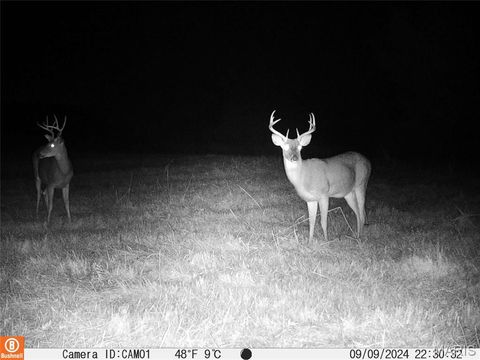 Tiny photo for 11373 Thunder Ridge Road, Richwoods, MO 63071 (MLS # 26012507)