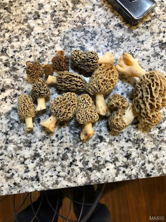 Lake Forest Farms - Farm