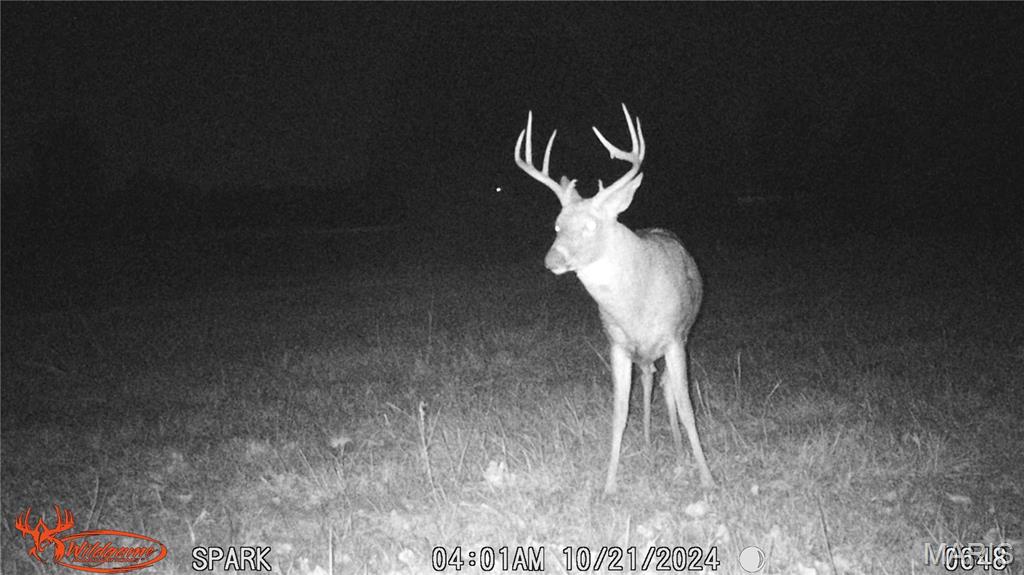 Lake Forest Farms - Farm