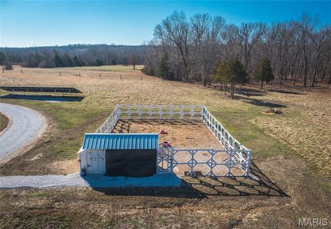 Tiny photo for 11373 Thunder Ridge Road, Richwoods, MO 63071 (MLS # 26012507)