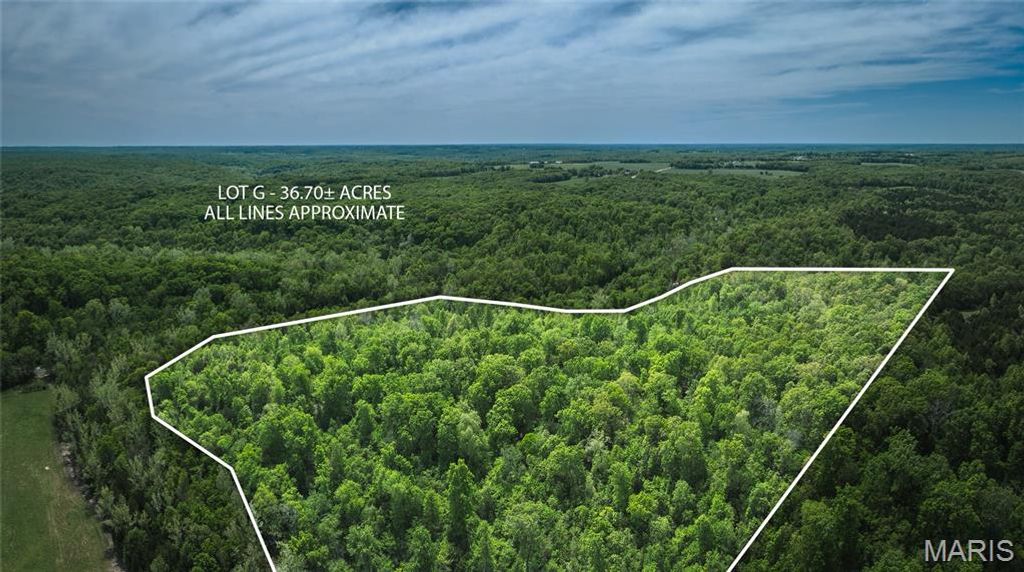 Photo of 0 Lot G, Armadillo Lane, Sullivan, MO 63080 (MLS # 26021650)