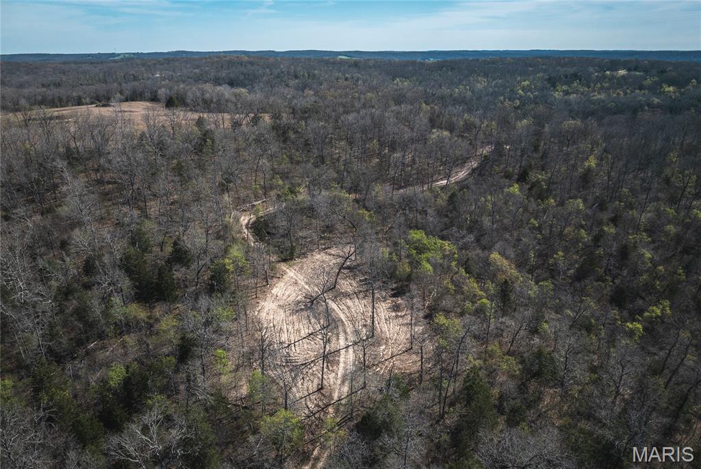 Spring Bluff Farms - Land