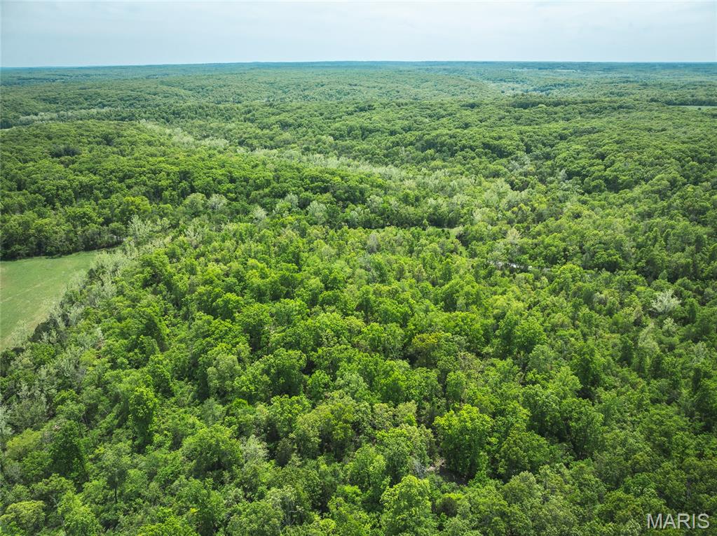 Spring Bluff Farms - Land