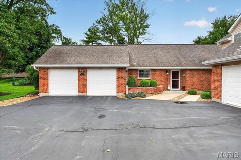 Photo of 1433 Tahoe Valley Court, Ballwin, MO 63021 (MLS # 26031244)
