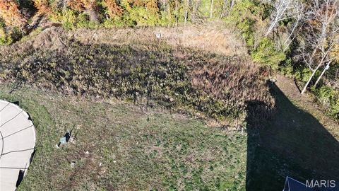 Tiny photo for 2025 Lily Avenue, Kirkwood, MO 63122 (MLS # 25075334)