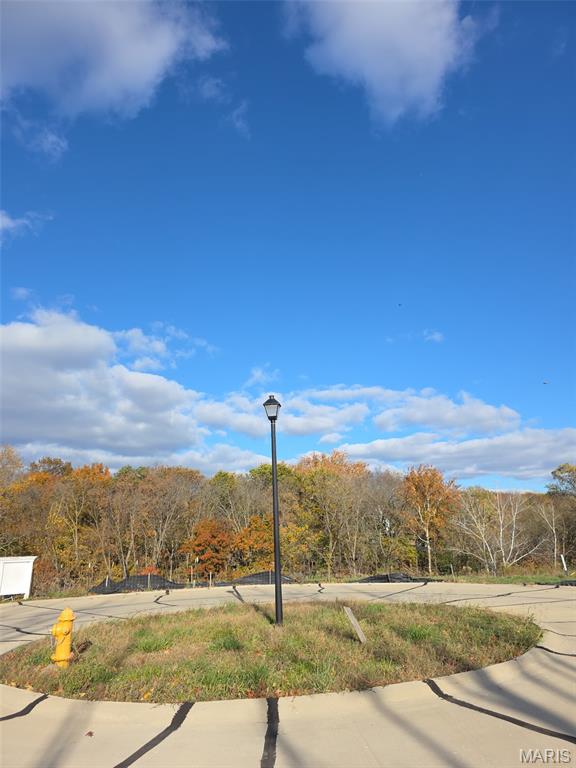 Bluffs At Lily Ave The - Land