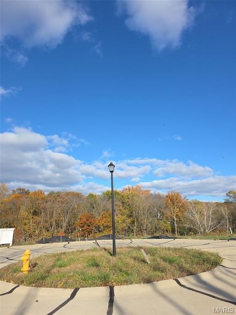 Tiny photo for 2025 Lily Avenue, Kirkwood, MO 63122 (MLS # 25075334)