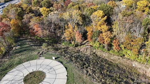 Tiny photo for 2025 Lily Avenue, Kirkwood, MO 63122 (MLS # 25075334)