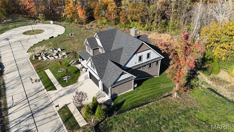 Tiny photo for 2025 Lily Avenue, Kirkwood, MO 63122 (MLS # 25075334)