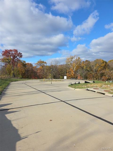 Tiny photo for 2025 Lily Avenue, Kirkwood, MO 63122 (MLS # 25075334)