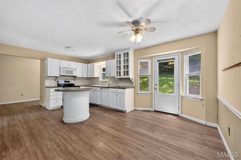 Tiny photo for 3672 Hawks Rest Road, Wildwood, MO 63069 (MLS # 26042012)