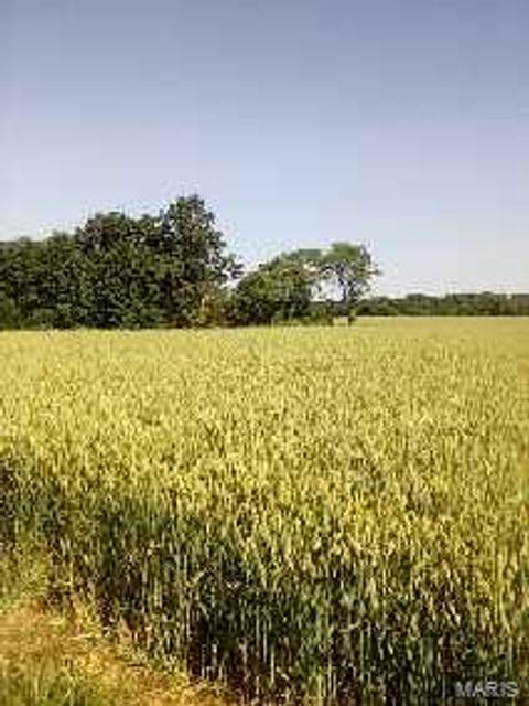 Tiny photo for 000 Pin Oak Church Rd., Truxton, MO 63381 (MLS # 25036407)