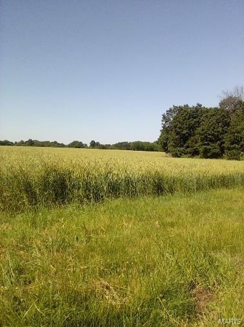 Tiny photo for 000 Pin Oak Church Rd., Truxton, MO 63381 (MLS # 25036407)